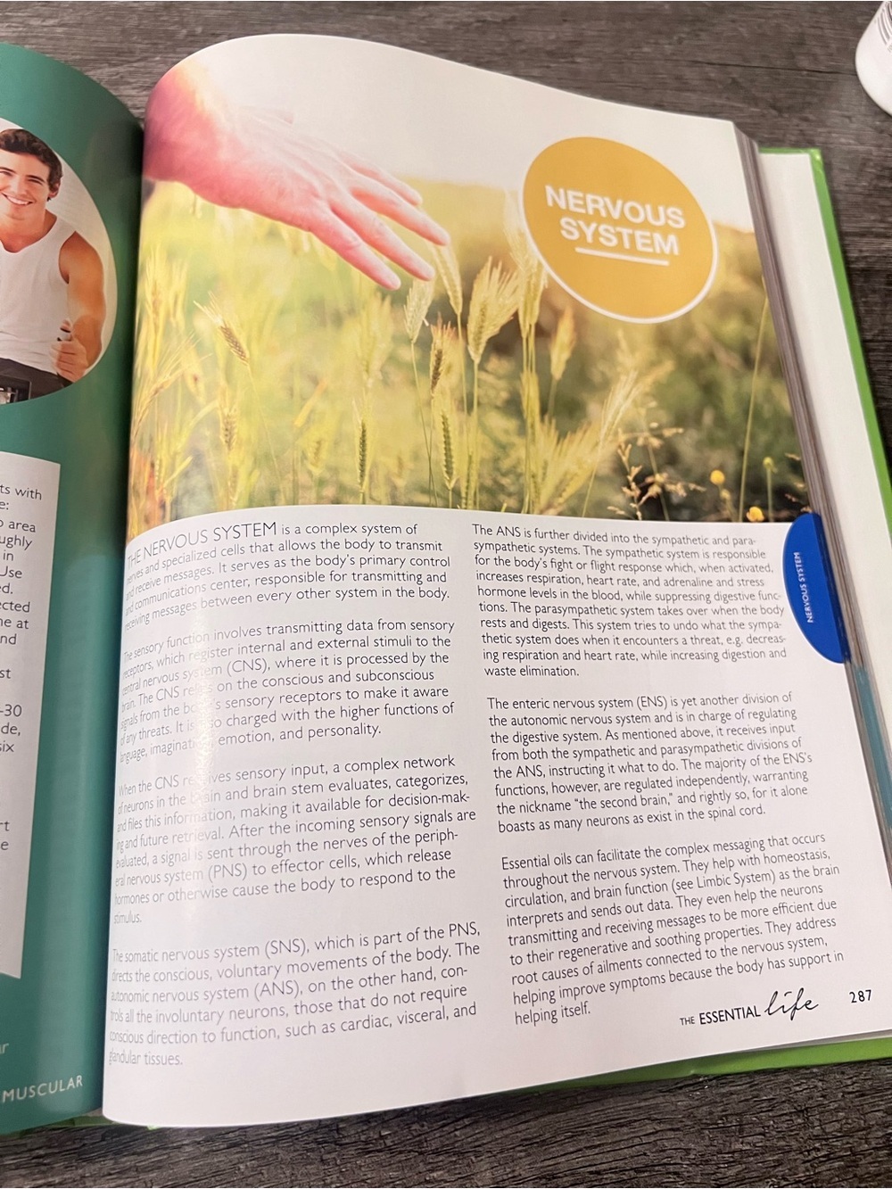 The Essential Life 3rd Edition Essential Oils Reference Guide Wellness Hardcover - Picture 9 of 9